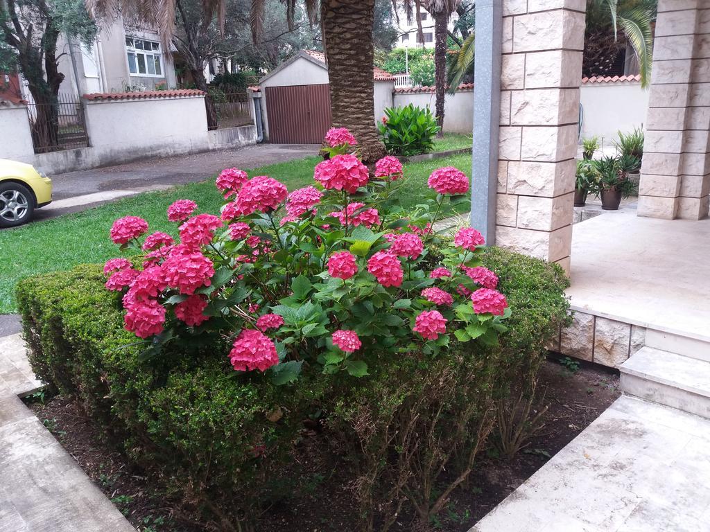 Bravo Apartmani Budva Kültér fotó